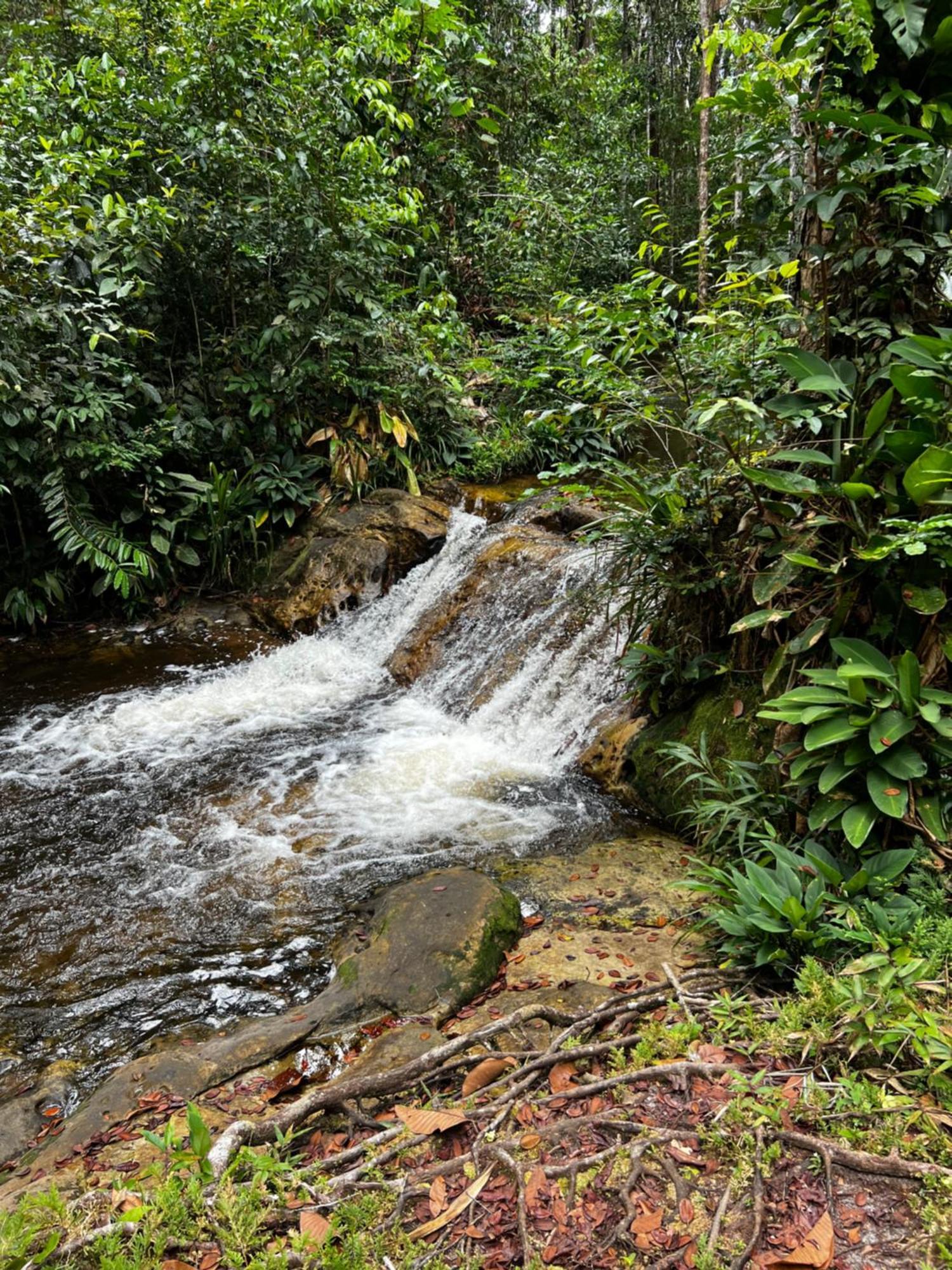 Pousada Paraiso Do Calango Azul Президенти-Фигейреду Экстерьер фото