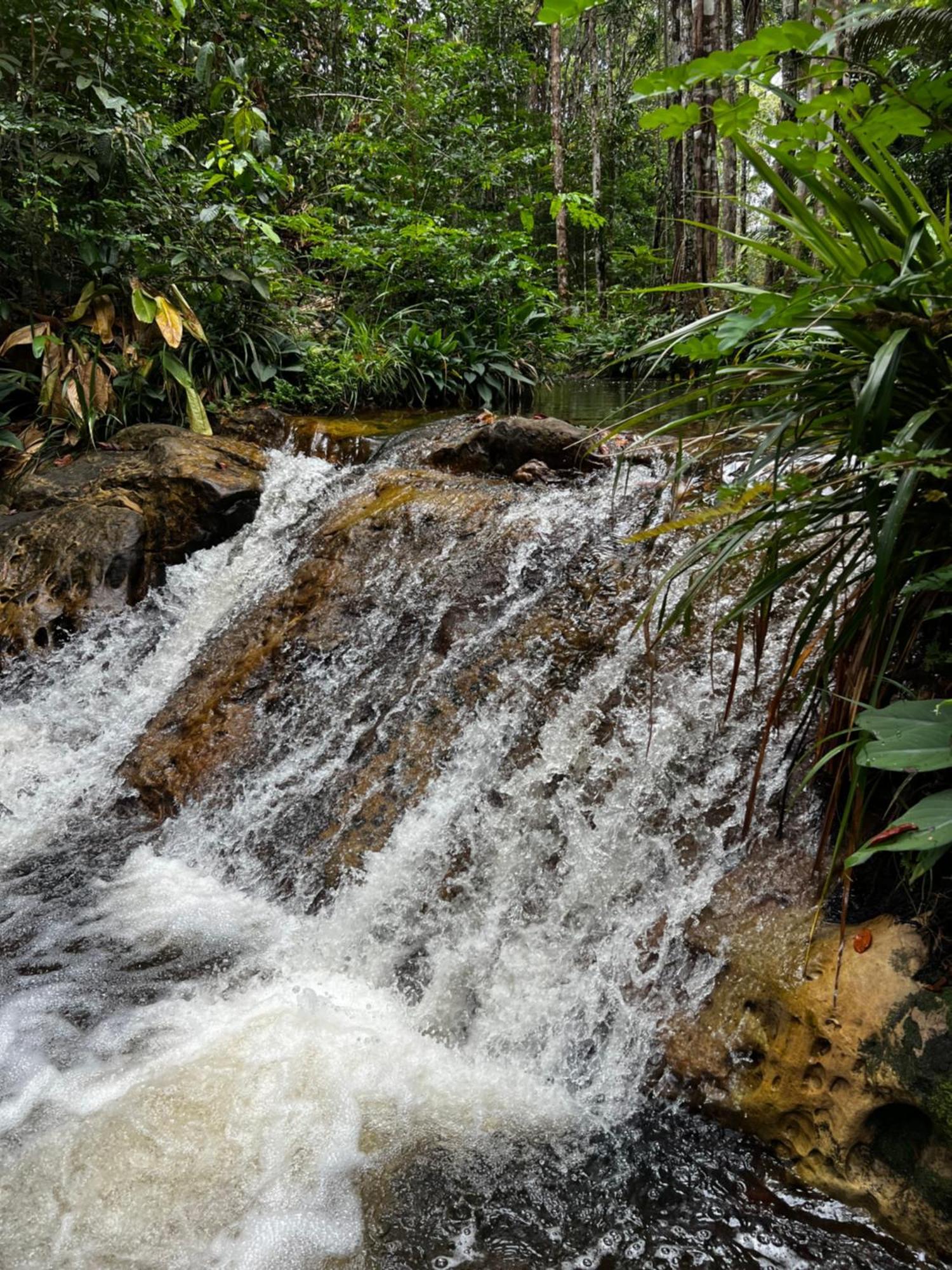 Pousada Paraiso Do Calango Azul Президенти-Фигейреду Экстерьер фото
