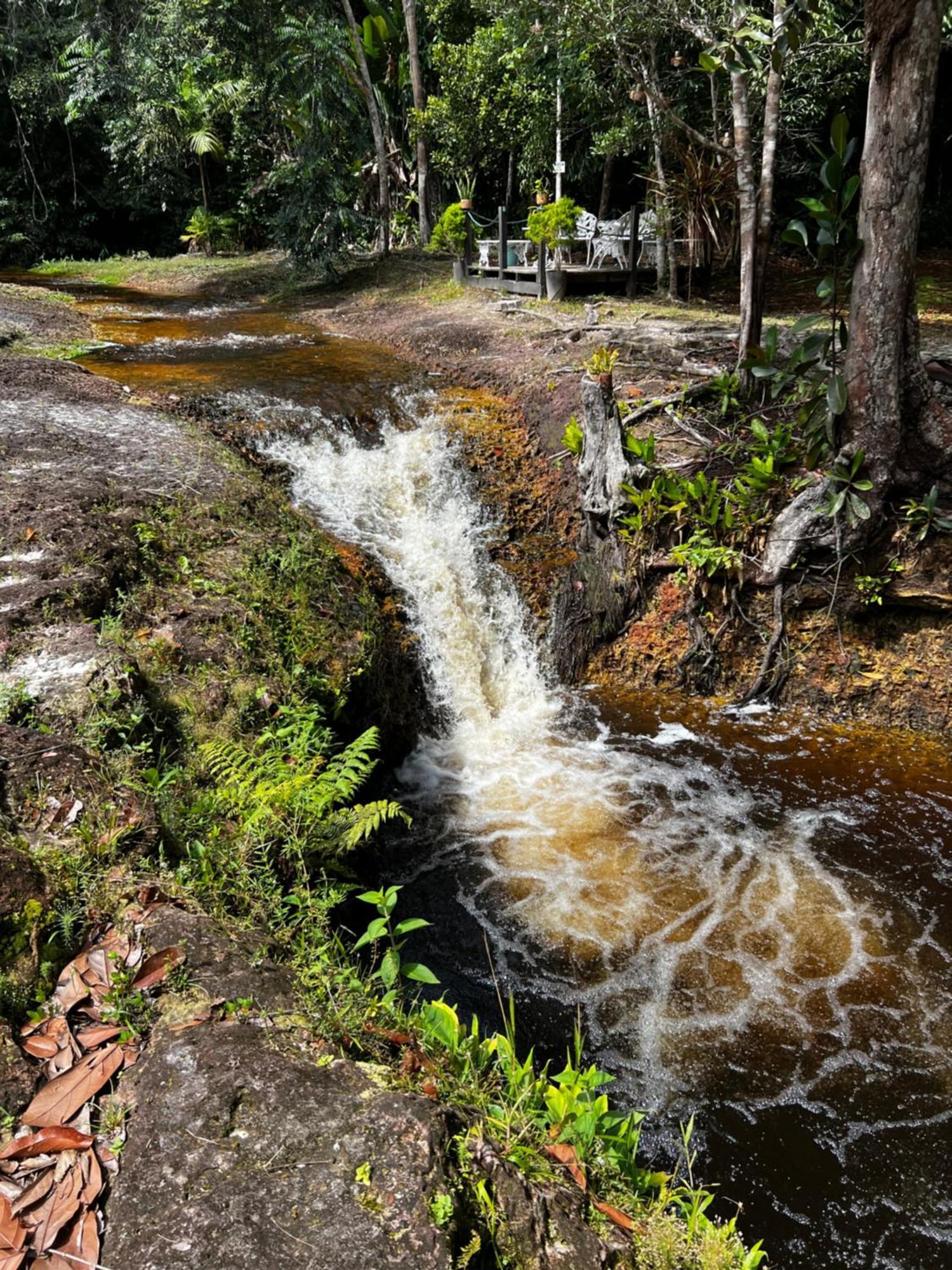 Pousada Paraiso Do Calango Azul Президенти-Фигейреду Экстерьер фото