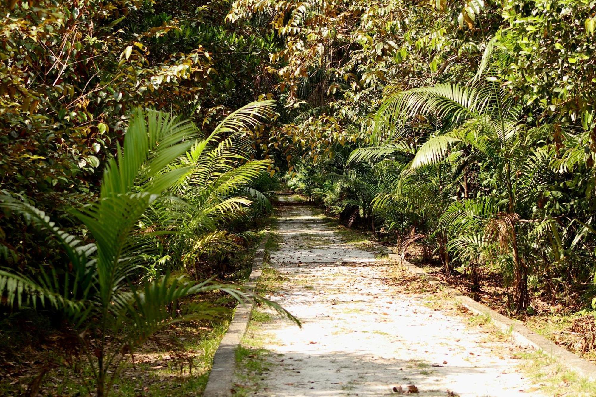 Pousada Paraiso Do Calango Azul Президенти-Фигейреду Экстерьер фото
