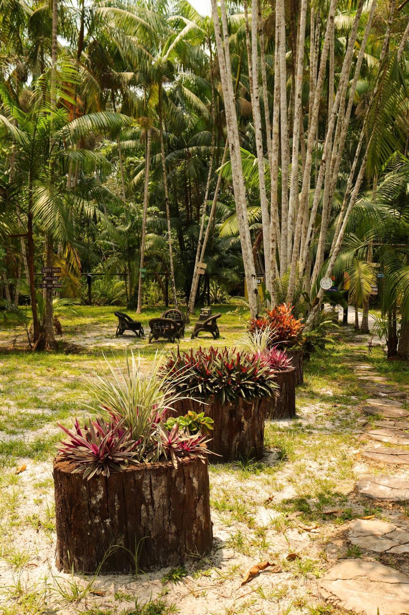 Pousada Paraiso Do Calango Azul Президенти-Фигейреду Экстерьер фото